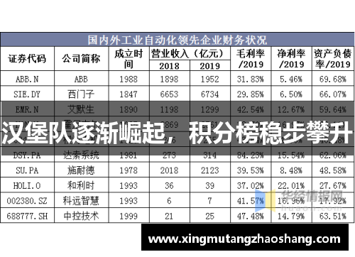 汉堡队逐渐崛起，积分榜稳步攀升